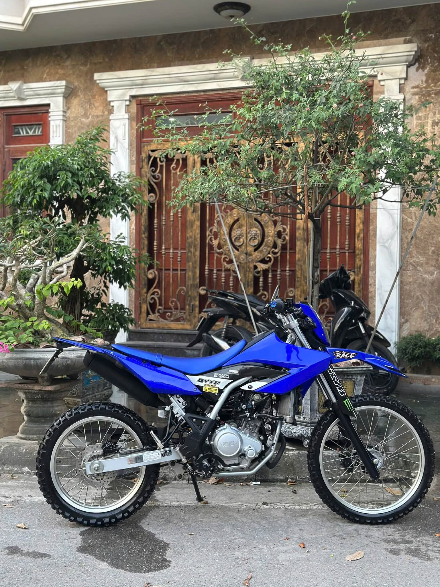 WR 155cc